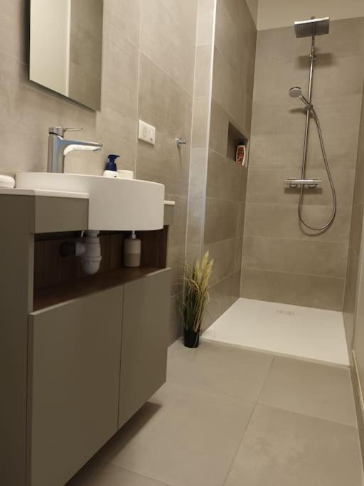 Apartament Castel De Satoya Belfort Zewnętrze zdjęcie